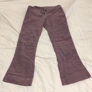 Abercrombie & Fitch Purple Corduroy Pants